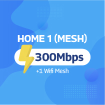 Home 1 (01 Mesh)